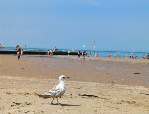 10歳差姉弟の夏休み。ワンオペでどこ行こ？